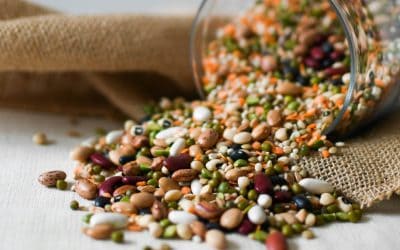 Why Beans & Legumes Belong in Every Woman’s Wellness Plate